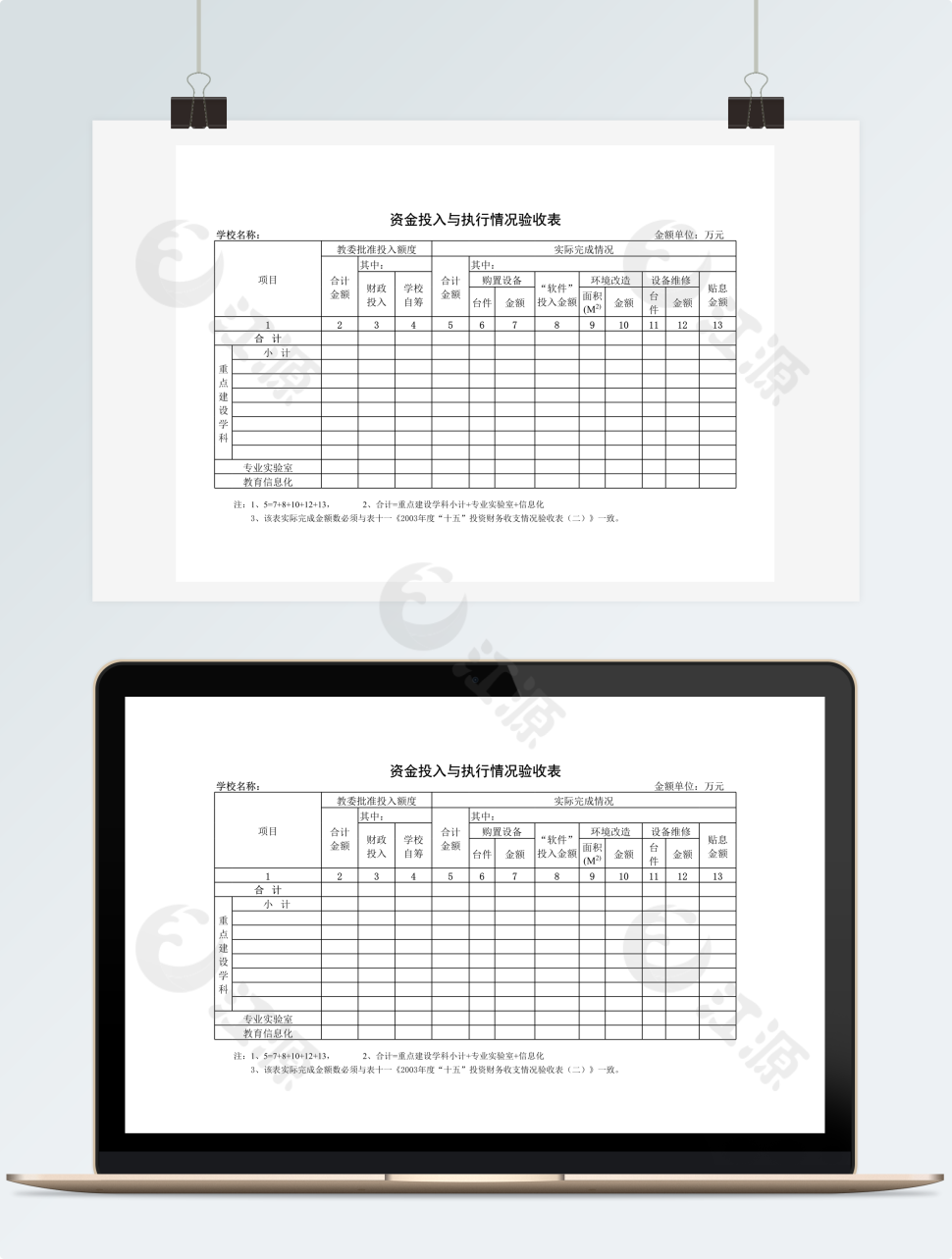 学校资金投入与执行详细情况验收表