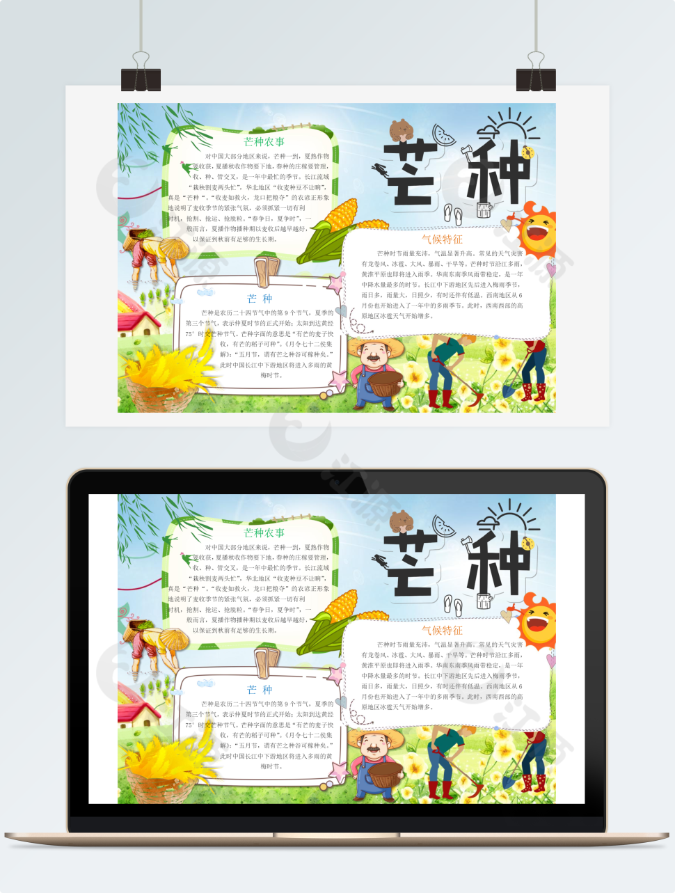 芒种二十四节气小报手抄报word模板