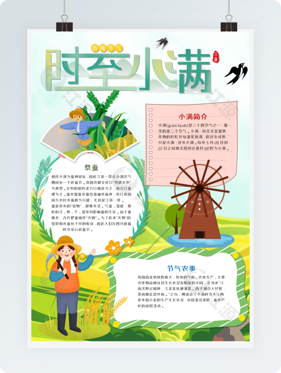 绿色传统节气小满手抄报小报